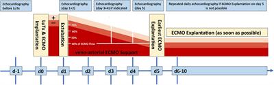 Bilateral lung transplantation for pediatric pulmonary arterial hypertension: perioperative management and one-year follow-up